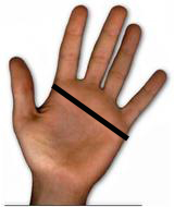 hand-1-small.jpg